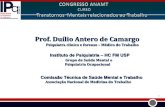 Prof. Duílio Antero de Camargo - Associação Nacional de ... · (F20) Incapacidade Laboral Nexo Causal Protocolo de Investigação do Nexo Causal dos TMRT 2 . 3 . ... 100 a 91 –