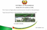 REPÚBBLIC OF MOZAMBIQUE MINISTRY OF AGRICULTURE … · até a comercialização e agroprocessamento-; Aprovado e Implementado o Plano de Acção para a Produção de Alimentos (PAPA