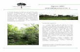 Agosto 2007 IN FORMATIVO N° 4wazakaye.com.br/wp-content/uploads/2013/03/IW_Informativo4_ago2007.pdf · bananal plantado pelo Sr. Ari, ... jatobá e mamão. As espécies plantadas