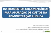 INSTRUMENTOS ORÇAMENTÁRIOS PARA APURAÇÃO DE …tesouro.fazenda.gov.br/documents/10180/21643/Painel_I_Detalhamento... · PO de origem Tabela que identifica a correlação entre