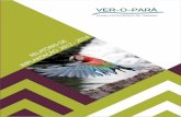 PLANO VER-O-PARÁ 2012-2014 - SECRETARIA DE ESTADO DE …setur.pa.gov.br/sites/default/files/pdf/relatorio_de_implantacao... · metros para o planejamento setorial e para colocar