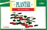 Embrapa - (Colecao Plantar - VIRTUAL) - Acerolaainfo.cnptia.embrapa.br/digital/bitstream/item/161991/1/A-cultura... · Brasil, como a região de maior produção. O País tem uma