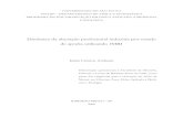 Dinâmica da alteração perfusional induzida por estado ...livros01.livrosgratis.com.br/cp008700.pdf · universidade de sÃo paulo ffclrp – departamento de fÍsica e matemÁtica