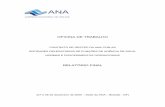 OFICINA DE TRABALHO - arquivos.ana.gov.brarquivos.ana.gov.br/.../Comissao/RelFinal-OfContratodegestao2005.pdf · procedimentos para execução de contrato de gestão entre a ANA e