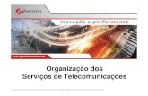 Organização dos Serviços de Telecomunicações · Evolução do setor (PGO) Art 10. A partir de 31 de dezembro de 2001, deixará de existir qualquer limite ao número de prestadores