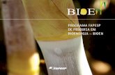 PROGRAMA FAPESP DE PESQUISA EM BIOENERGIA – BIOENfapesp.br/publicacoes/2016/bioen_pt.pdf · etanol por via ácida e de hidrólise enzimática em escala industrial. A FAPESP tem