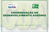 COORDENAÇÃO DE DESENVOLVIMENTO AGRÁRIO · A CDA coordena, supervisiona e desenvolve ações voltadas para as comunidades rurais, contribuindo para reduzir, substancialmente, as