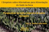 I Simpósio sobre Alternativas para Alimentação do Gado na ... · Porcentagem de mudas viáveis para o plantio (MVPP) de variedades de palma forrageira em relação ao método de