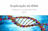 Duplicação do DNA - biologiaeuteamo.files.wordpress.com · Duplicação do DNA •A duplicação se inicia com a quebra das pontes de hidrogênio entre as bases nitrogenadas que