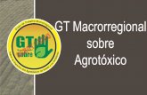 GT Macrorregional sobre Agrotóxico - Centro Estadual de ... · • sindicato dos servidores pÚblicos municipais de ijui • cacon – centro de alta complexidade em oncologia –