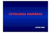 CITOLOGIA MAMÁRIA - Anatomia Patológica e Citologia · HISTOLOGIA Mama Normal LOCUS 2005 Lóbulo Mioepitelial Lactação . CITOLOGIA MAMÁRIA