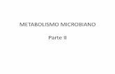METABOLISMO MICROBIANO Parte II - lamam.ufscar.br · Bactérias fotossintéticas •Cianobactérias: a fotossíntese é igual à que ocorre nas plantas –fotossíntese oxigênica.
