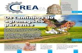 REA Foto Angela Gonzalez Conselho - CREA-PA · promovemos avanços significativos e acompa-nhamos de perto os grandes projetos desenvol-vidos no Pará. Juntamente com os profissionais