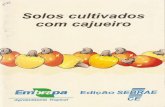 SOLOS CULTIVADOS COM CAJUEIRO - core.ac.uk · Dados de produção de caju da Fundação IBGE (1990) indicam que a área colhida nos estados do Ceará, Piauí e Rio Grande do Norte