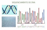 SEQUENCIAMENTO DE DNA - csvp.g12.br · FREDERICK SANGER (1918 –2013) •“Cada proteína tem uma sequência de aminoácidos única e específica” •1953 - sequência de aminoácidos