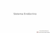 Sistema Endócrino - enfermeirodiogo.comenfermeirodiogo.com/pdf/anatomia-e-fisiologia-humana/sistema... · O Sistema Endocrino •Conjunto de órgãos que apresenta como atividade