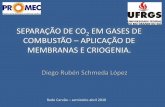 SEPARAÇÃO DE CO2 EM GASES DE COMBUSTÃO - ufrgs.br co2 rede carvao.pdf · Objetivos •Viabilidade de processos CCS pós-combustão, •Avaliar o potencial de uso das membranas