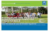 ASSOCIAÇÃO DOS PEQUENOS AGROSSILVICULTORES DO … · ... norte do estado de Rondônia. Durante décadas, ... Processo de agregação de valor aos produtos ... oportunidades geradoras