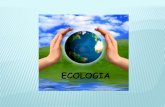 ECOLOGIA · 2016-11-23 · ECOLOGIA . DEFINIÇÃO Do ... é a relação existente entre os vários componentes de uma comunidade e os seres não vivos ...