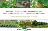 III Plano Diretor da Boas Práticas Agrícolas Embrapa ... · III Plano Diretor da Embrapa Amazônia Ocidental Boas Práticas Agrícolas da Cultura do Cupuaçuzeiro Aparecida das