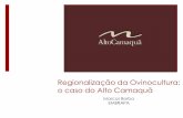 Projeto Alto Camaquã - agricultura.gov.br · • Rede Alto Camaquã- ReAC • Associação Regional – ADAC →Fundada em setembro de 2009; →“Promover e viabilizar estratégias