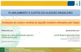 PLANEJAMENTO E CUSTOS DO ALGODÃO BRASILEIRO · evolução mensal de custos, considerando variações apenas nos preços dos insumos; Representa uma evolução da “inflação”