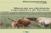 Minerais na eficiência reprodutiva de bovinos interfere na habilidade do organismo de sobreviver e de se reproduzir. A ingestão contínua de dietas deficientes ou ... agentes oxidantes