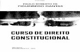 lVNOl3nlllSN03 - BDJur · 3.7 Classificação de Uadi Lammêgo Bulos, 108 3.8 Interpretação das normas constitucionais, 111 3.9 Métodos clássicos de interpretação das normas,