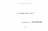 Síntese Enzimática de Biodiesel Acelerada por Irradiação ...sistemas.eel.usp.br/bibliotecas/monografias/2014/MEQ14066.pdf · Quadro 4: Comparação das vantagens e desvantagens