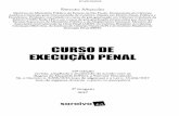 CURSO DE EXECUÇÃO PENAL - BDJur - Página inicial · 2018-09-25 · Execução penal - Leis e legislação - Brasil 2. Penas  leis ...