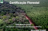 o Certificação Florestal é um termo de conotação política · o Amplia a responsabilidade ambiental e social o Sistemas de certificação, Governo, academia, ... uma estratégia