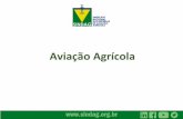 Aviação Agrícola - agricultura.gov.br · Representatividade • Conselho Consultivo da ANAC • Câmara Técnica Setorial da Indústria de Manutenção Aeronáutica • Câmara
