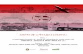CENTRO DE INTEGRAÇÃO LOGÍSTICA - Página inicialportaldaestrategia.transportes.gov.br/images/MENU-Transportes/... · INTEGRAÇÃO LOGÍSTICA COM VISTAS A SUBSIDIAR POLÍTICAS ...