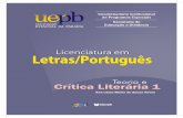 Governo Federal Luiz Inácio Lula da Silva Presidenteead.uepb.edu.br/arquivos/letras/teoria_e_critica_literaria.pdf · O que é literariedade? Na sua vida escolar, você deve ter