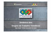 Dinâmica dos Grupos de Trabalho Temáticos - PROMINPantigoprominp.petrobras.com.br/objects/files/2006-11/1503.pdf · • Programas de estágio e trainees (inserção no mercado de