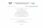 UNIVERSIDADE FEDERAL DA PARAIBA CENTRO DE …biblioteca.virtual.ufpb.br/files/pub_1291089407.pdf · Pró-reitor de graduação ... metodológico para desenvolvimento dos trabalhos