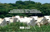 Programa Novo Campo – Estratégia de Pecuária Sustentável ... · Programa Novo Campo: Estratégia de Pecuária Sustentável na Amazônia 3 Sumário dEsaFios da PECuária Na amazôNia