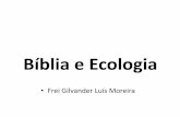 Bíblia e Ecologia - guaxupe.org.brguaxupe.org.br/wp-content/uploads/2016/05/palestra_frei-gilvander.pdf · fruto da ação do Espírito de ... Uns dizem que a Bíblia é um livro