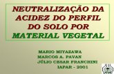 NEUTRALIZAÇÃO DA ACIDEZ DO PERFIL DO SOLO POR …brasil.ipni.net/ipniweb/region/brasil.nsf... · Alteração de pH e Al do solo pela percolação da solução (0-5 cm) 25 . 15 .