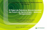6º Congresso Brasileiro de Melhoramento de Plantas§alves-Petrobras-Bio.pdf · 3 Missão da Petrobras Biocombustível “Produzirbiocombustíveis de forma segura e rentável com