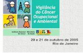 20 e 21 de outubro de 2005 Rio de Janeiro - inca.gov.br · •Atividades de jateamento com areia. As iniciativas nacionais de combate a silicose no Brasil Campanha INST/CUT Final