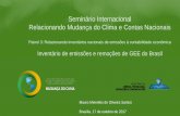 Seminário Internacional Relacionando Mudança do Clima e ... · Inventário de emissões e remoções de GEE do Brasil • Uso da Terra, Mudança do Uso da Terra e Florestas •