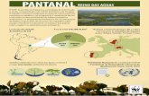 Infografico-Pantanal-1-web-pag- .Tamb©m conhecido como "reino das guas", o bioma © a maior rea