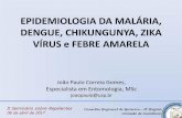EPIDEMIOLOGIA DA MALÁRIA, DENGUE, CHIKUNGUNYA, … ·  . Mapa da Dengue 2011 . Evolução da infestação por : Aedes aegypti : no Estado de São Paulo :