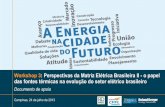 Workshop 3: Perspectivas da Matriz Elétrica Brasileira II ... · Na região Sul, o crescimento da carga prevista não é acompanhado pelo crescimento da oferta local, resultando