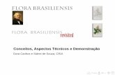 Conceitos, Aspectos Técnicos e Demonstração · banco de dados hierárquico para todos os nomes na Flora brasiliensis . APG_names_DB - 3 banco de dados hierárquico para os nomes