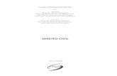 DIREITO CIVIL - editoraclassica.com.br Civil.pdf · a clÁusula geral de ... a desconstruÇÃo da dicotomia direito pÚblico/direito privado e o surgimento do direito civil ... a