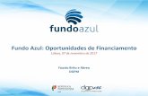 Fundo Azul: Oportunidades de Financiamento · Estimular a emergência de uma nova geração de empreendedores do mar (start-ups, PME e outras empresas) criadora de oportunidades inovadoras