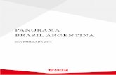 PANORAMA BRASIL ARGENTINA - az545403.vo.msecnd.netaz545403.vo.msecnd.net/uploads/2014/11/panorama-brasil-argentina... · enquanto as importações argentinas originárias do Brasil