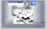 Organizaçãow3.ualg.pt/~jmartins/gestao/trabalhos/organizacao.pdf · André Palma nº 31093 ... Introdução •Conceito de Organização De um modo genérico pode-se dizer que uma